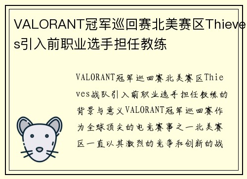 VALORANT冠军巡回赛北美赛区Thieves引入前职业选手担任教练